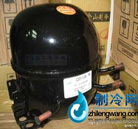 万胜冰箱压缩�? border=