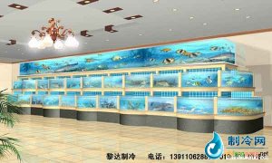 海鲜池鱼缸ldzl40