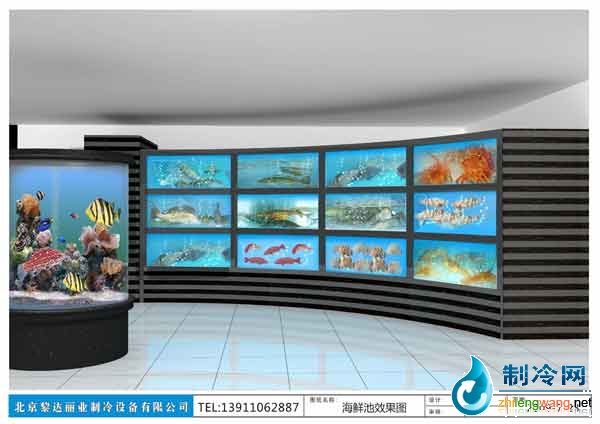点击图片查看详情 南京西站海鲜_海鲜图片大全_海鲜面