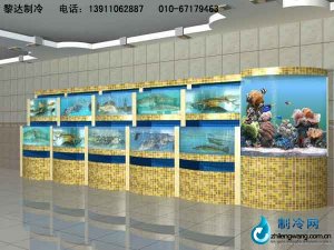 海鲜池鱼缸ldzl115