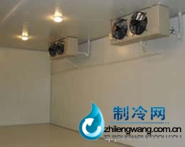 果蔬保鲜冷库