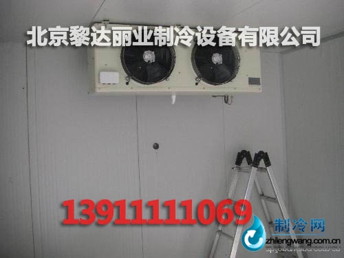 冷库,制冷网,低温冷库