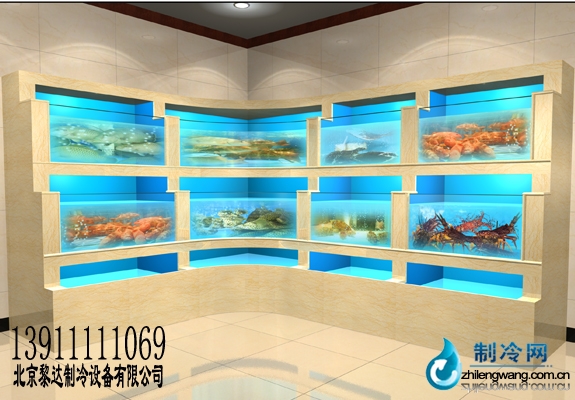 做海鲜池_餐厅海鲜池_海鲜烧烤(3)