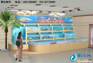 石家庄鱼缸海鲜池_鱼缸造景_鱼缸布景图片