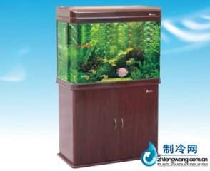 森森观赏水族箱HRX-600