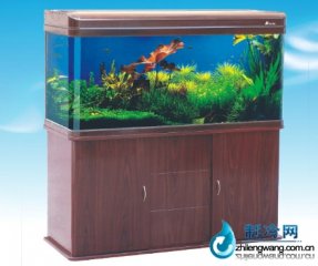 森森观赏水族箱HRX-1200I