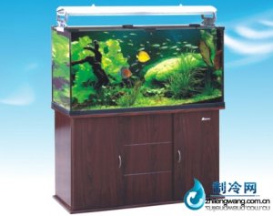 森森敞开式水族箱HK-1200