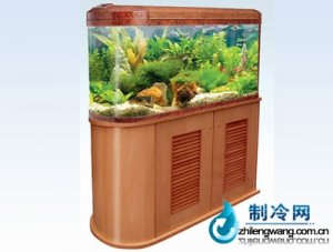 佳宝开放生态水族箱鱼缸R9108