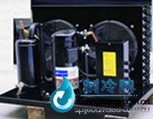 美国谷轮压缩冷凝机组ZB21KC-TFD