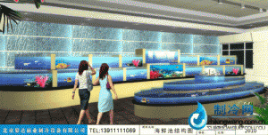 海鲜池鱼缸ldzl122
