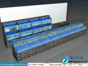海鲜池鱼缸ldzl123