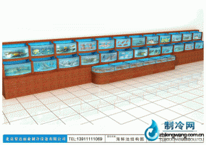 海鲜池鱼缸ldzl130