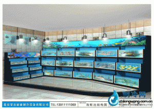 海鲜池鱼缸ldzl133