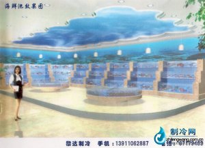 海鲜池鱼缸ldzl141