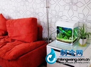 家里鱼缸怎样摆放最好?水族箱位置放置